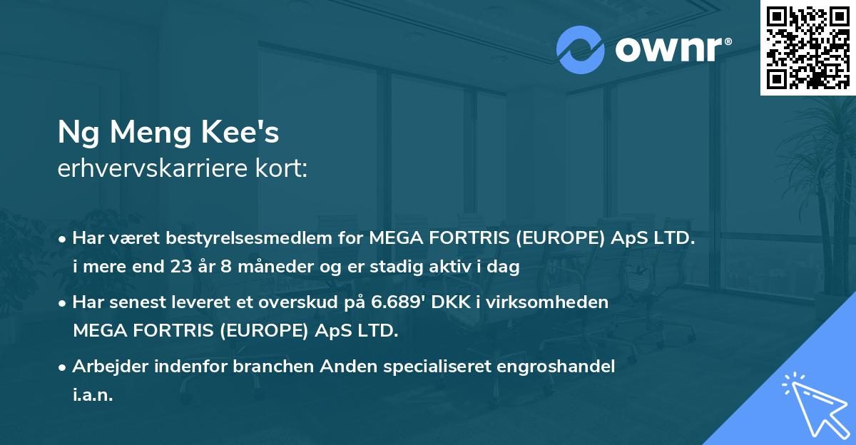 Ng Meng Kee's erhvervskarriere kort