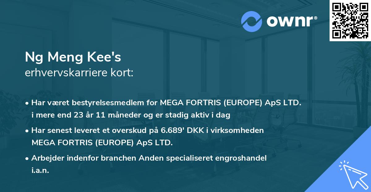 Ng Meng Kee's erhvervskarriere kort