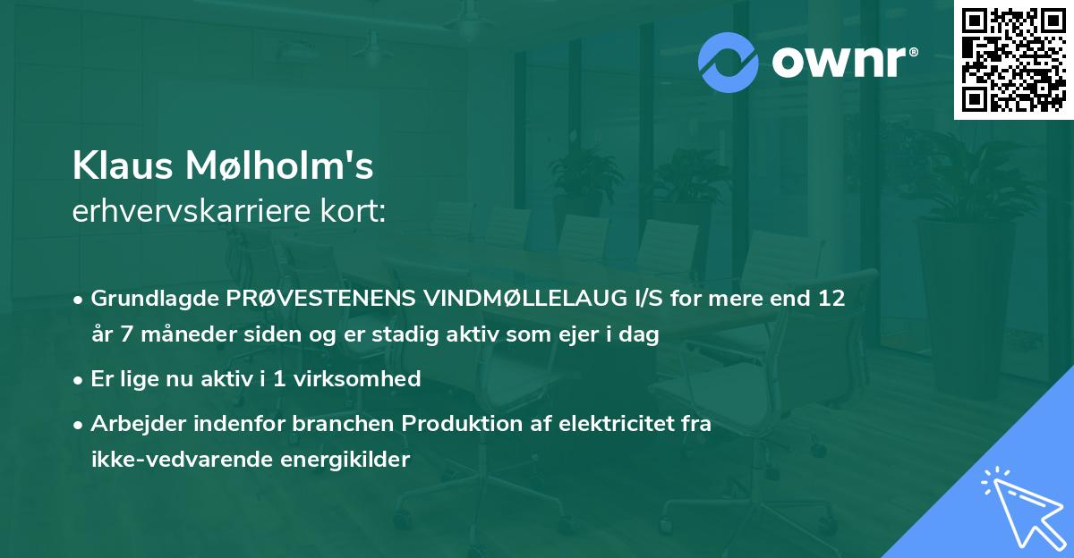 Klaus Mølholm's erhvervskarriere kort