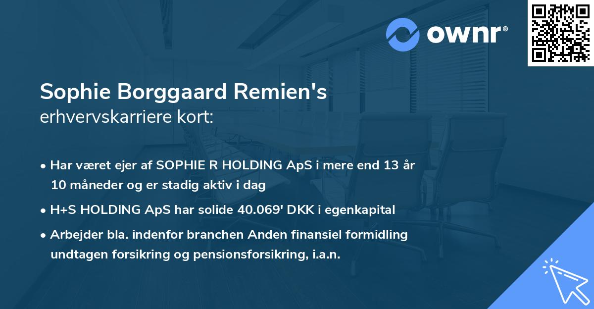 Sophie Borggaard Remien's erhvervskarriere kort