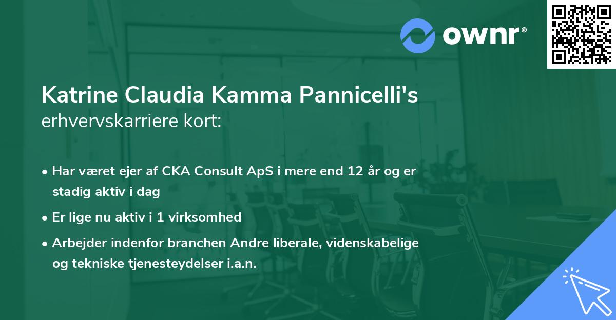 Katrine Claudia Kamma Pannicelli's erhvervskarriere kort