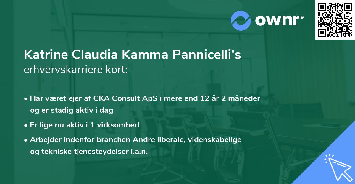 Katrine Claudia Kamma Pannicelli's erhvervskarriere kort