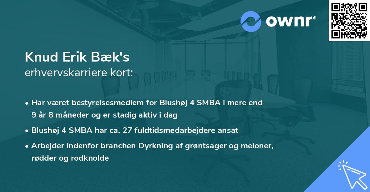 Knud Erik Bæk's erhvervskarriere kort