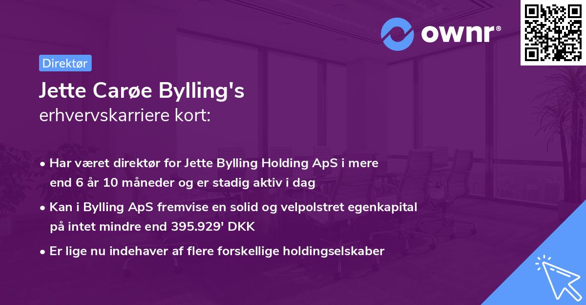 Jette Carøe Bylling's erhvervskarriere kort