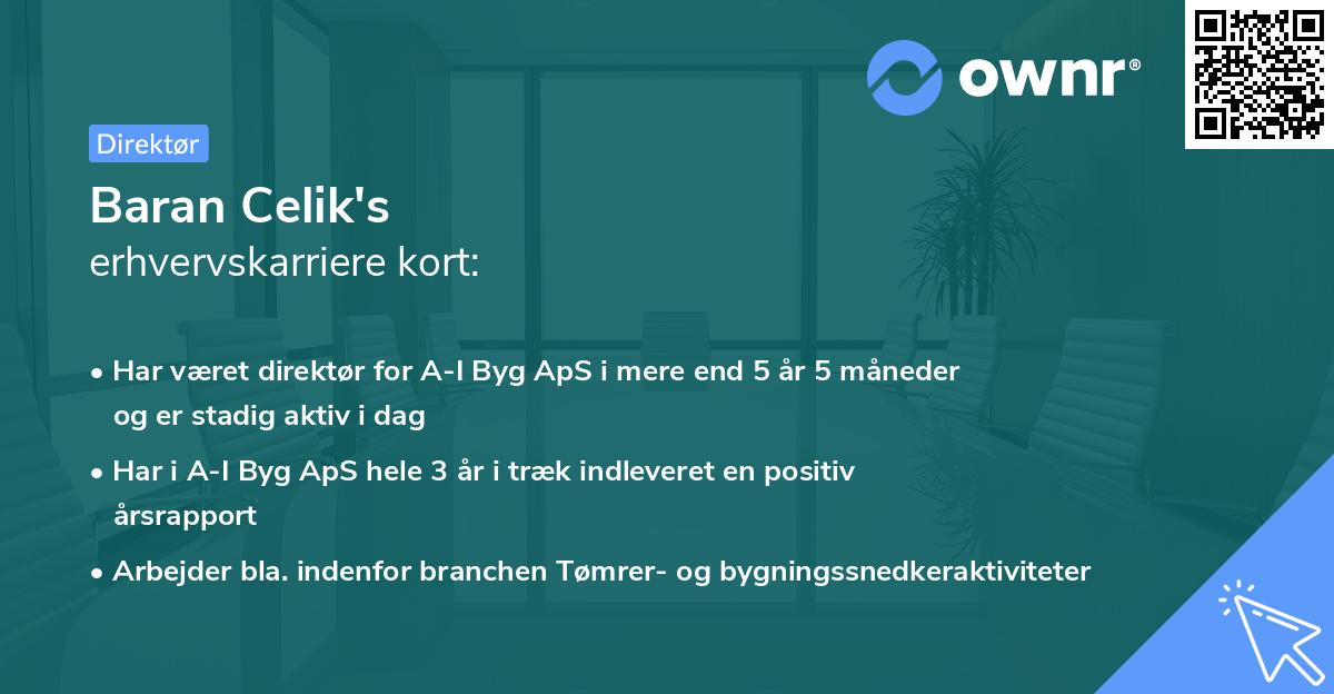 Baran Celik's erhvervskarriere kort
