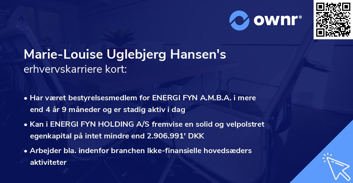 Marie-Louise Uglebjerg Hansen's erhvervskarriere kort