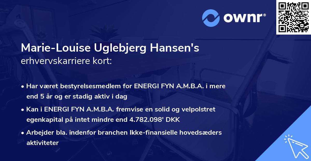 Marie-Louise Uglebjerg Hansen's erhvervskarriere kort