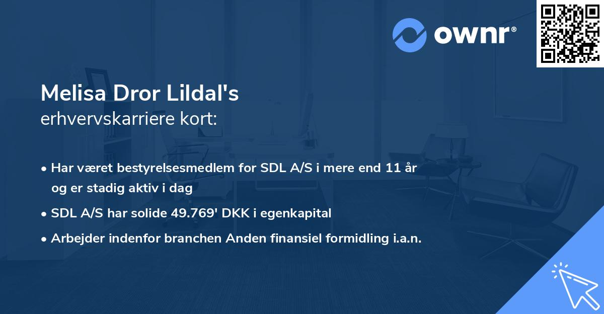Melisa Dror Lildal's erhvervskarriere kort