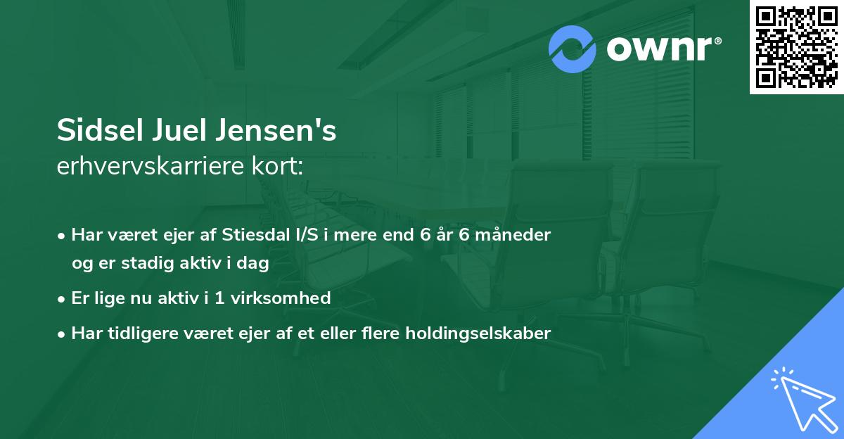 Sidsel Juel Jensen's erhvervskarriere kort