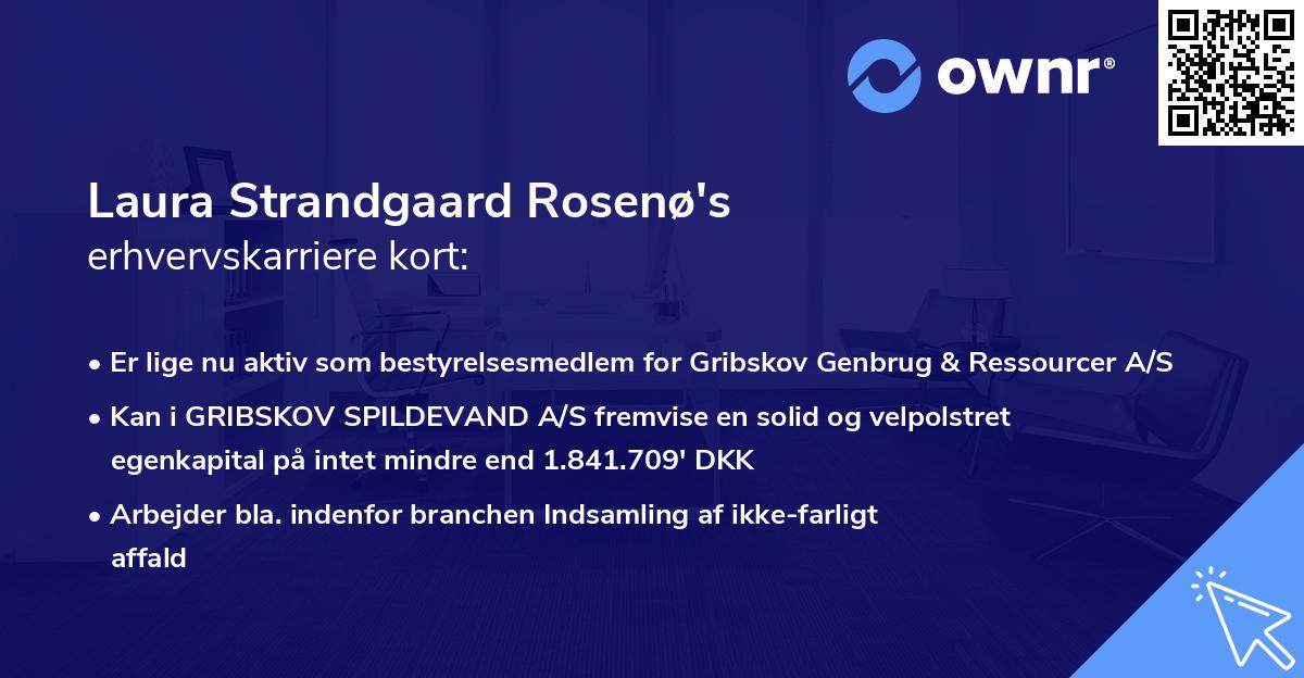 Laura Strandgaard Rosenø's erhvervskarriere kort