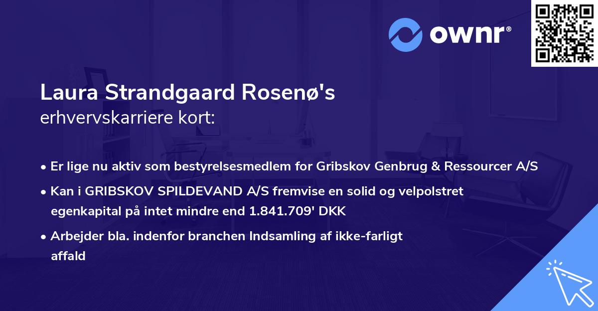 Laura Strandgaard Rosenø's erhvervskarriere kort
