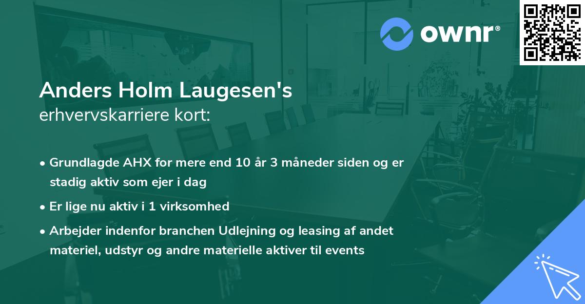 Anders Holm Laugesen's erhvervskarriere kort