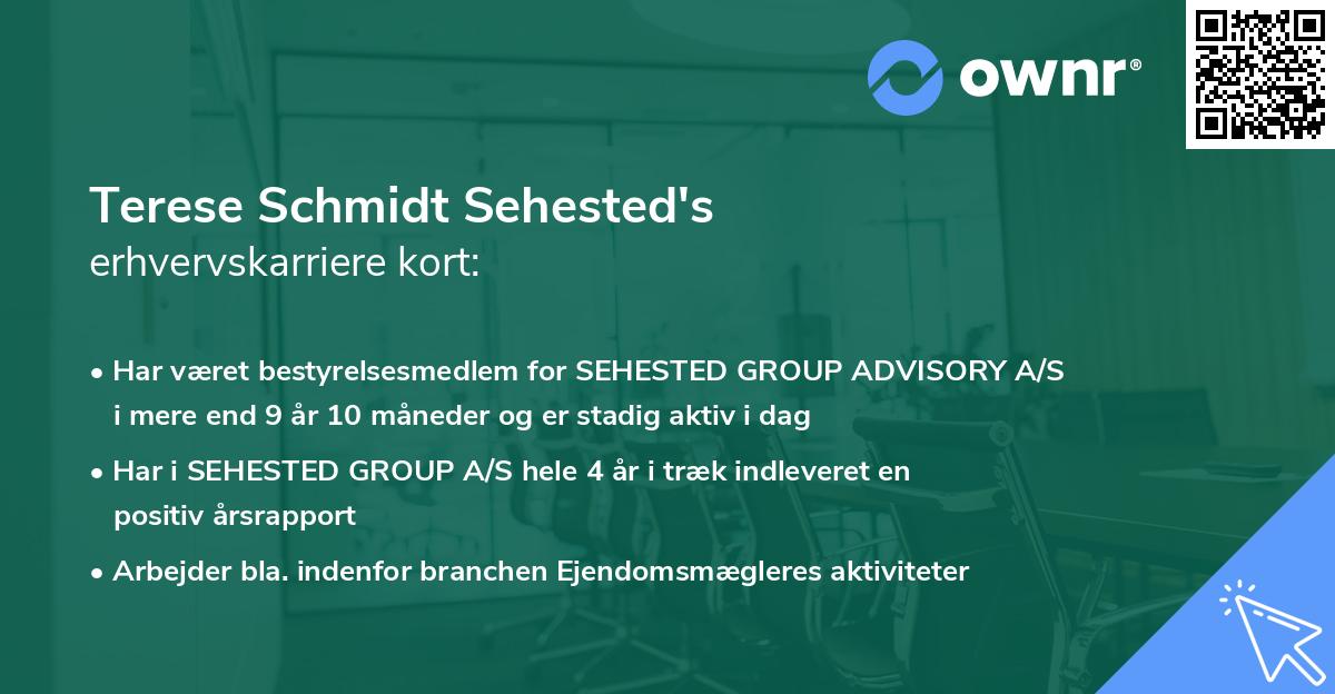Terese Schmidt Sehested's erhvervskarriere kort