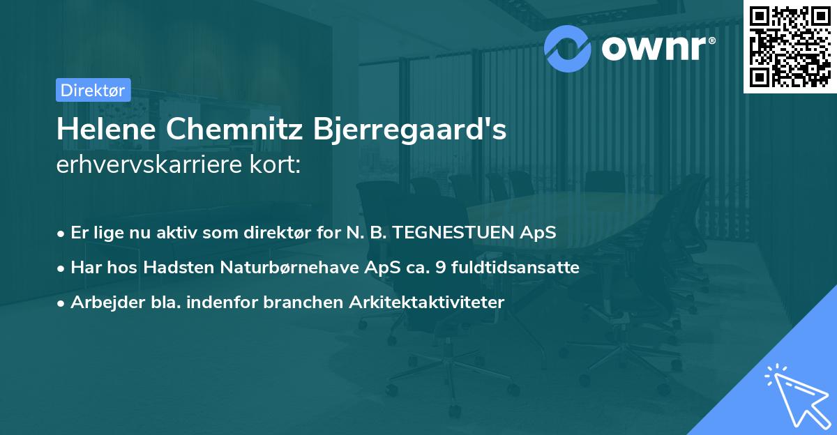 Helene Chemnitz Bjerregaard's erhvervskarriere kort