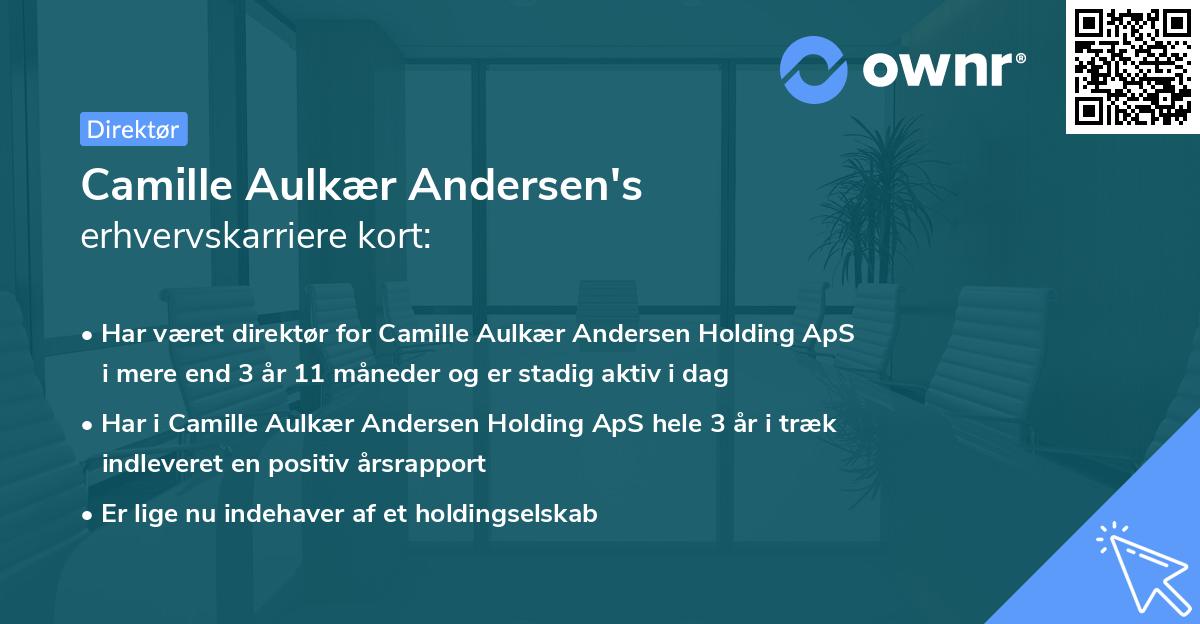 Camille Aulkær Andersen's erhvervskarriere kort