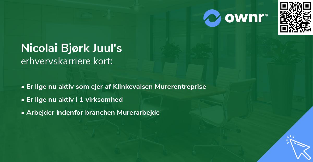 Nicolai Bjørk Juul's erhvervskarriere kort