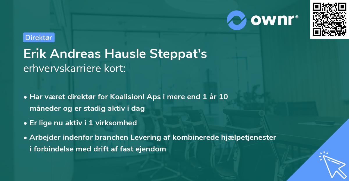 Erik Andreas Hausle Steppat's erhvervskarriere kort