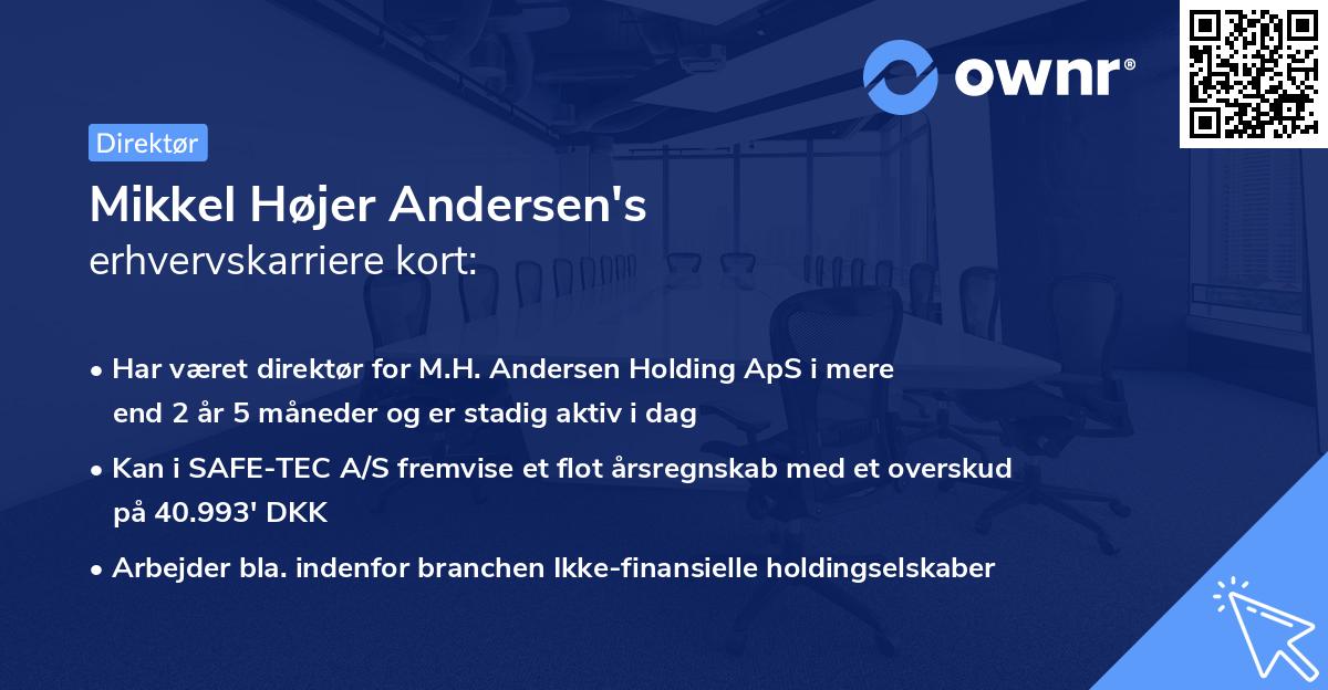 Mikkel Højer Andersen's erhvervskarriere kort