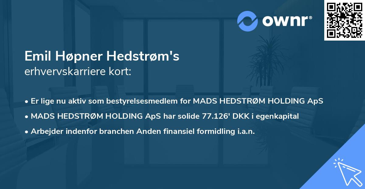 Emil Høpner Hedstrøm's erhvervskarriere kort
