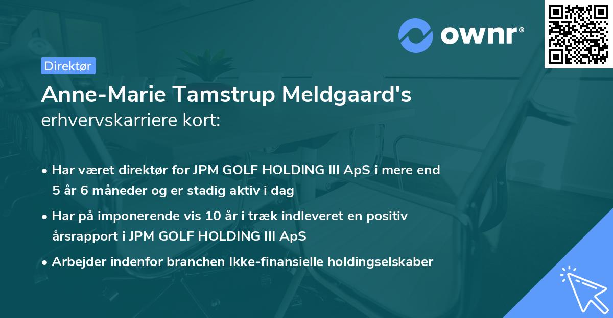 Anne-Marie Tamstrup Meldgaard's erhvervskarriere kort