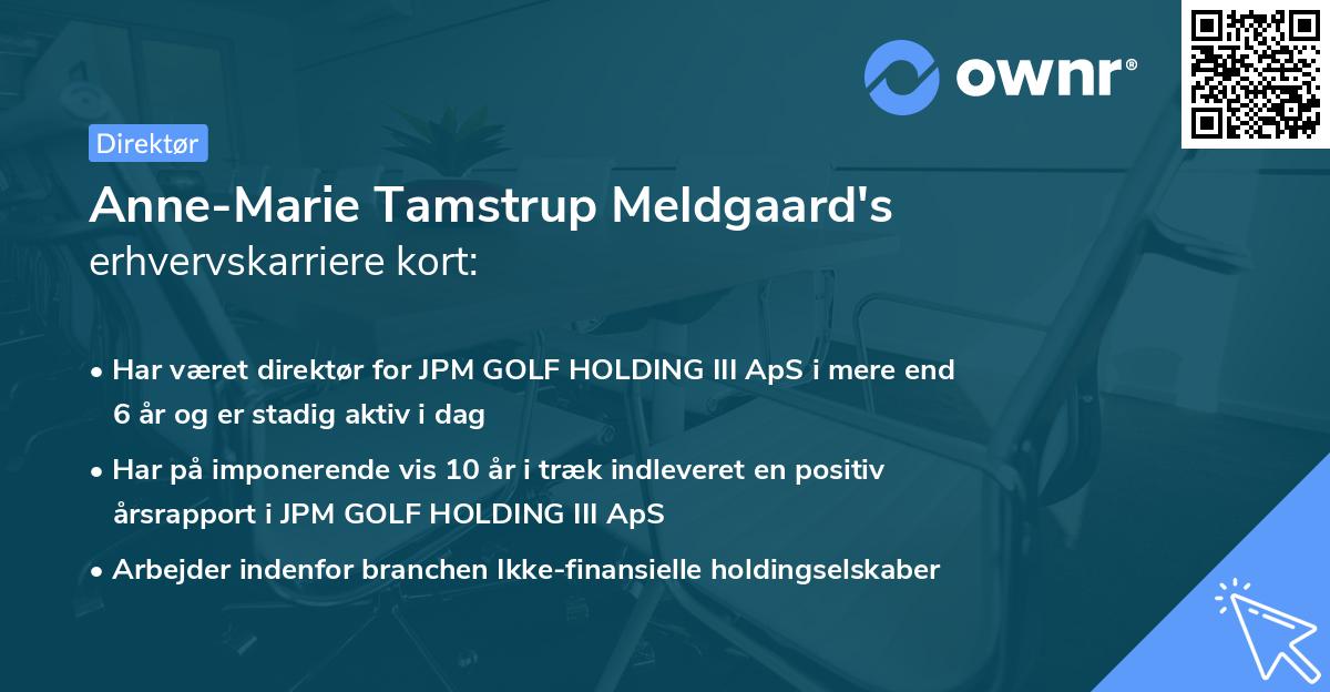 Anne-Marie Tamstrup Meldgaard's erhvervskarriere kort