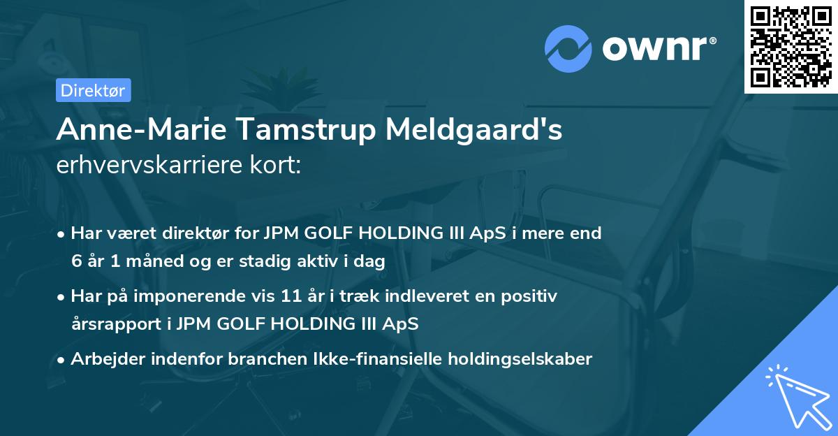 Anne-Marie Tamstrup Meldgaard's erhvervskarriere kort