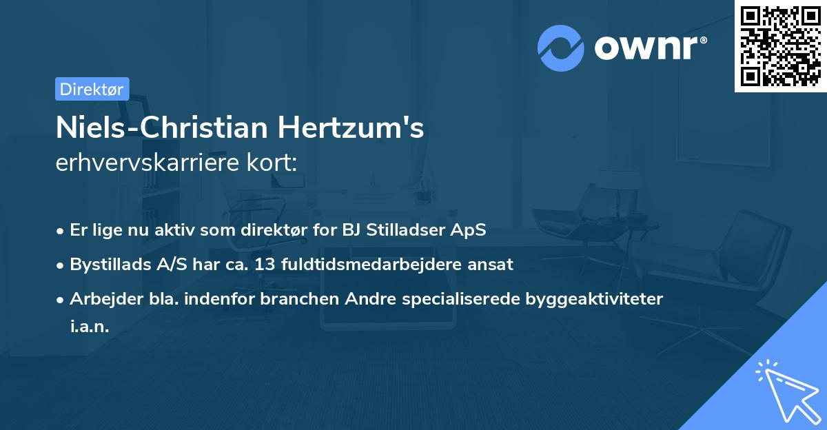 Niels-Christian Hertzum's erhvervskarriere kort