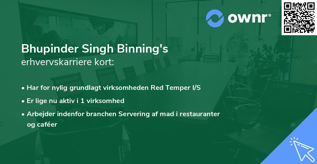 Bhupinder Singh Binning's erhvervskarriere kort