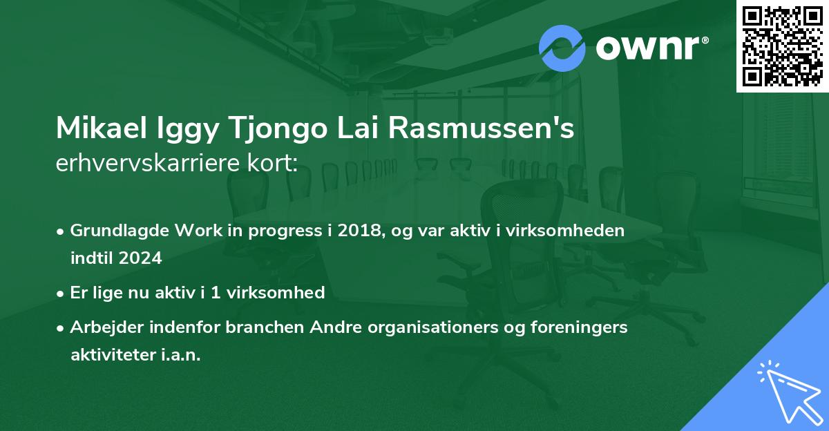 Mikael Iggy Tjongo Lai Rasmussen's erhvervskarriere kort