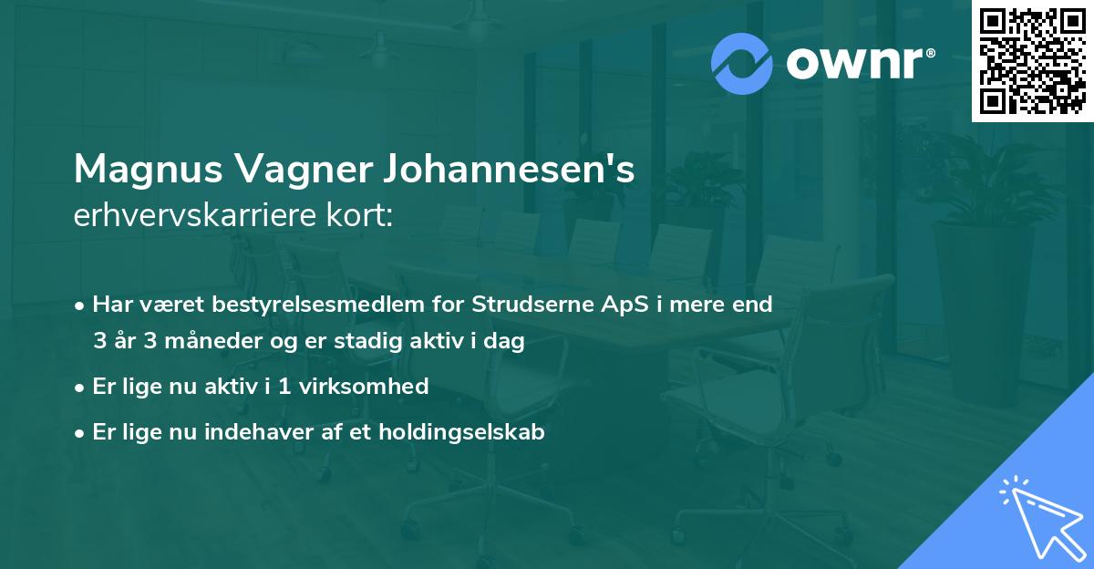Magnus Vagner Johannesen's erhvervskarriere kort