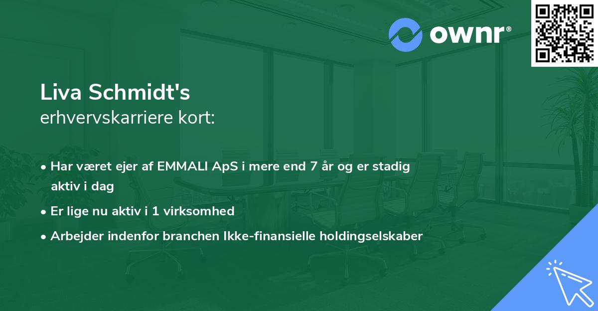 Liva Schmidt's erhvervskarriere kort