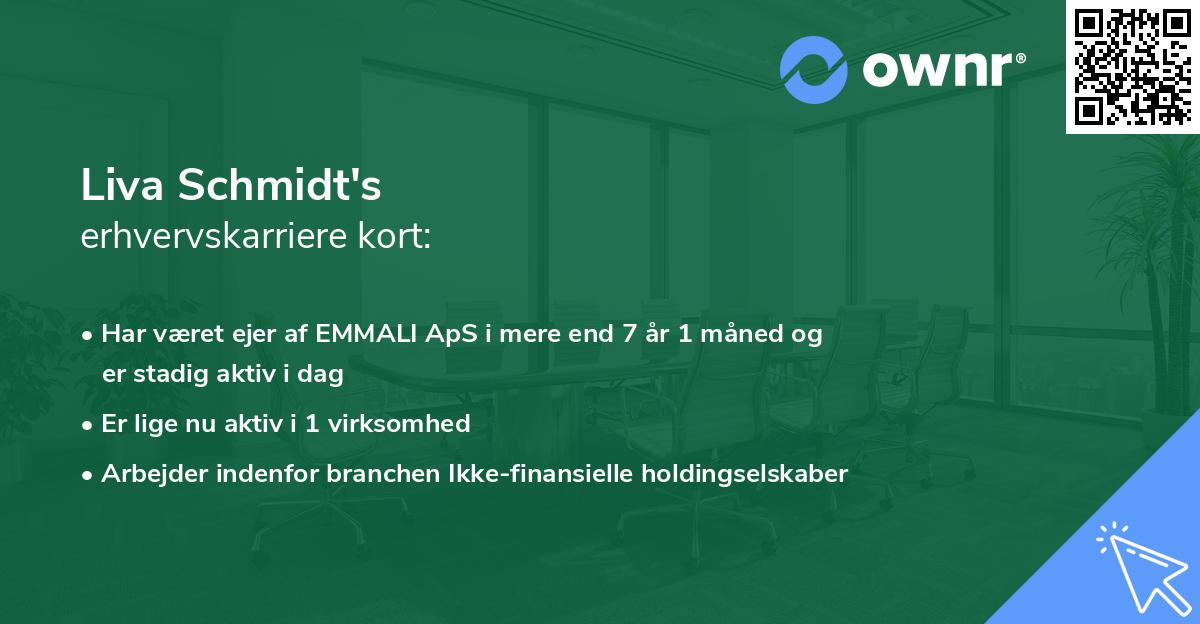 Liva Schmidt's erhvervskarriere kort