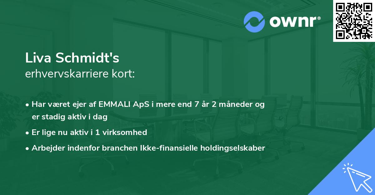 Liva Schmidt's erhvervskarriere kort
