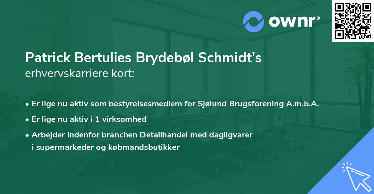 Patrick Bertulies Brydebøl Schmidt's erhvervskarriere kort