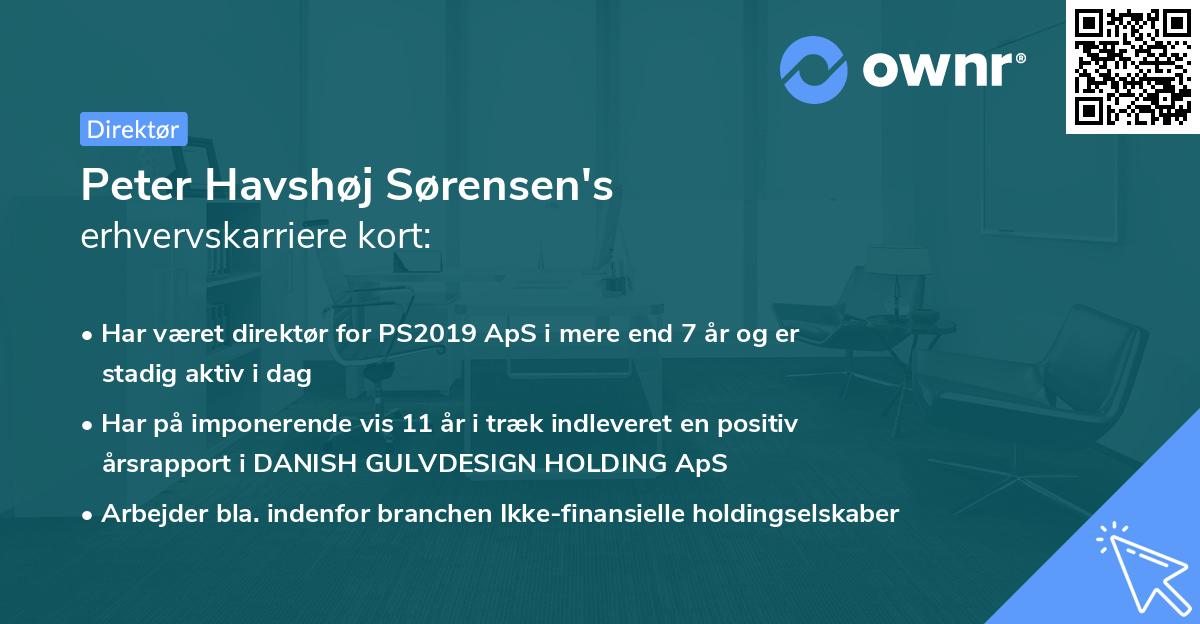 Peter Havshøj Sørensen's erhvervskarriere kort