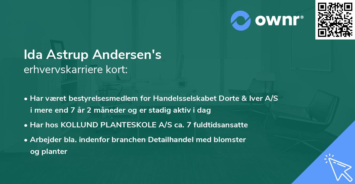 Ida Astrup Andersen's erhvervskarriere kort