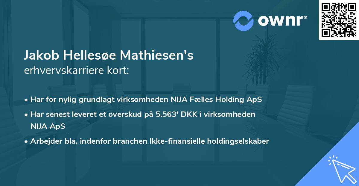 Jakob Hellesøe Mathiesen's erhvervskarriere kort