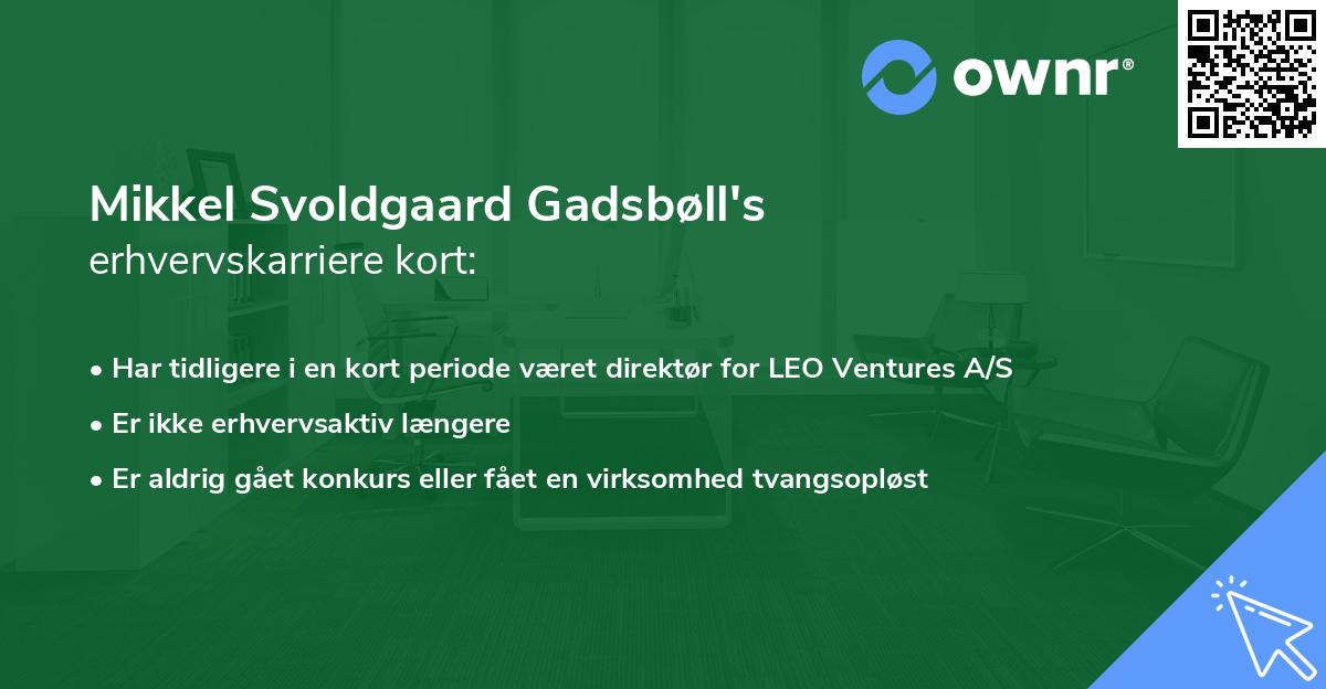 Mikkel Svoldgaard Gadsbøll's erhvervskarriere kort