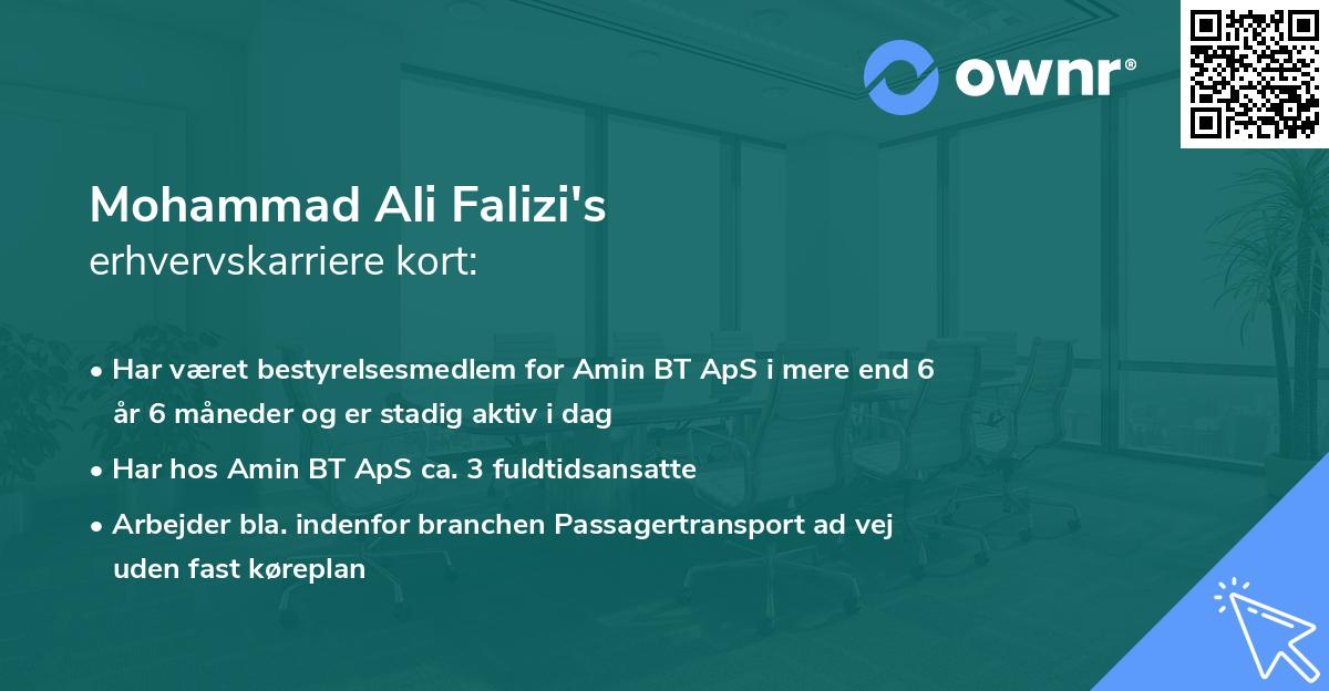 Mohammad Ali Falizi's erhvervskarriere kort