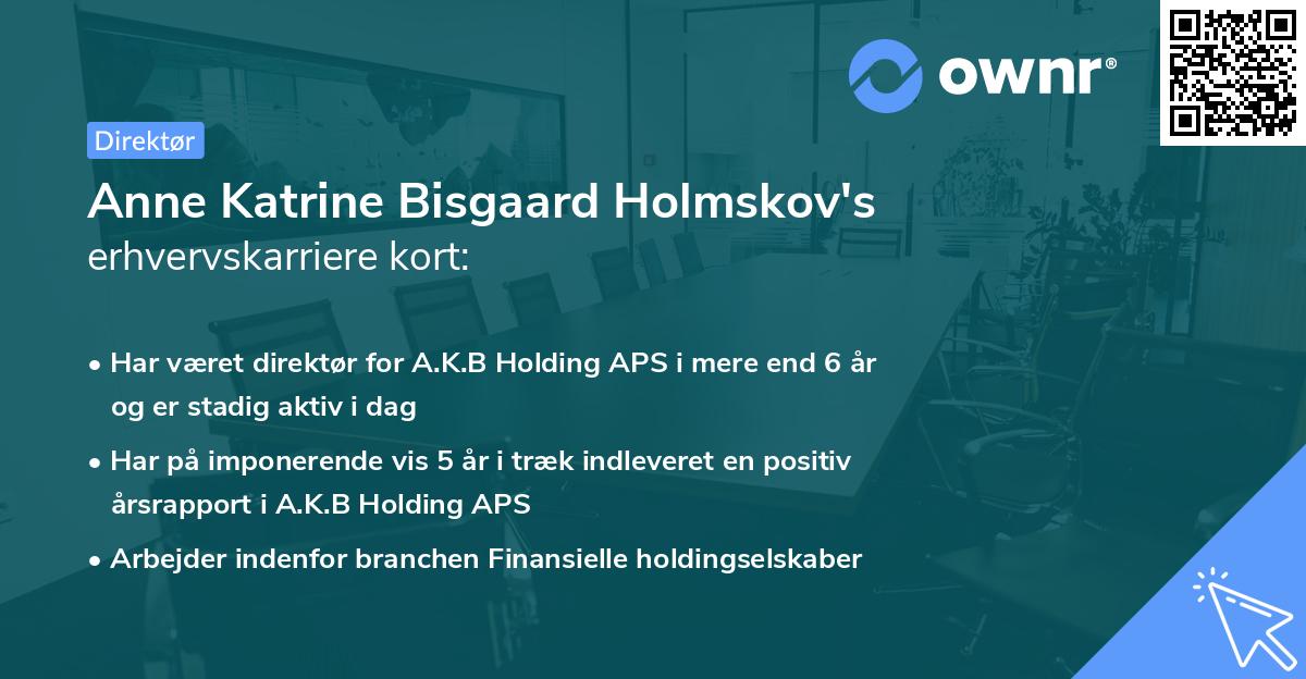 Anne Katrine Bisgaard Holmskov's erhvervskarriere kort