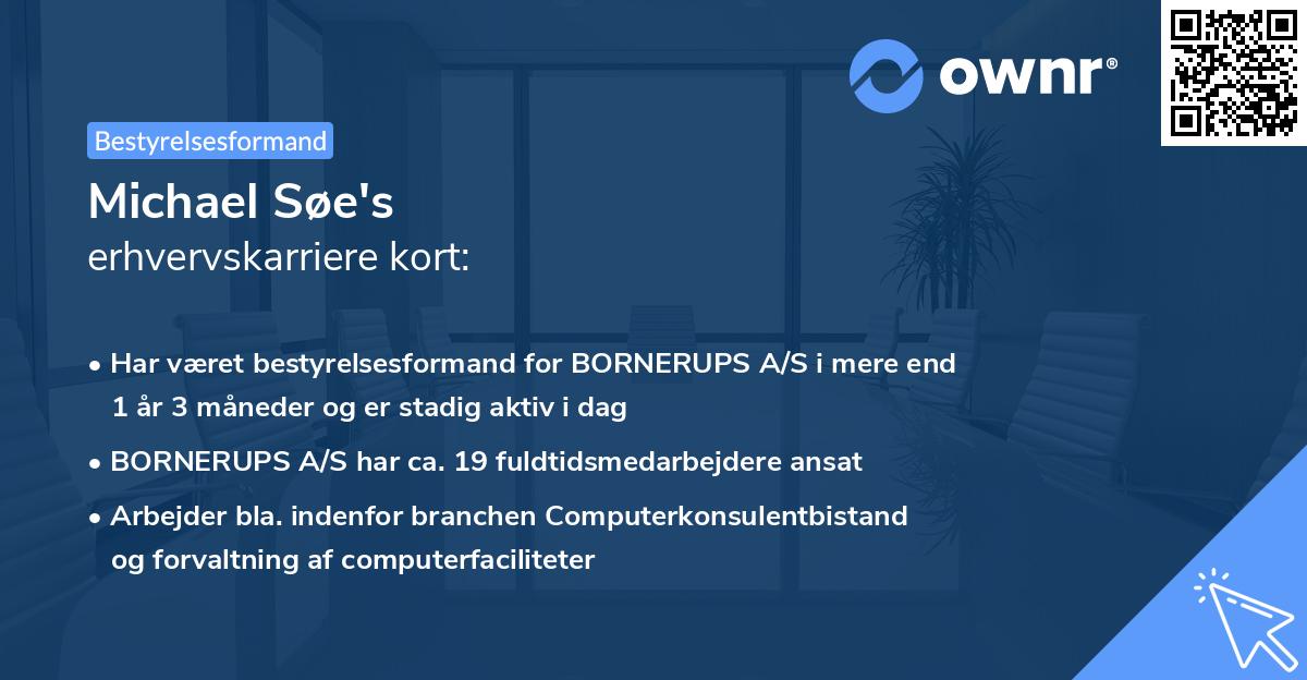 Michael Søe's erhvervskarriere kort