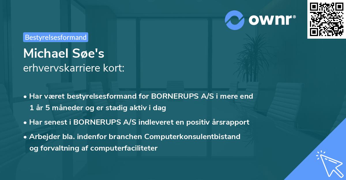 Michael Søe's erhvervskarriere kort