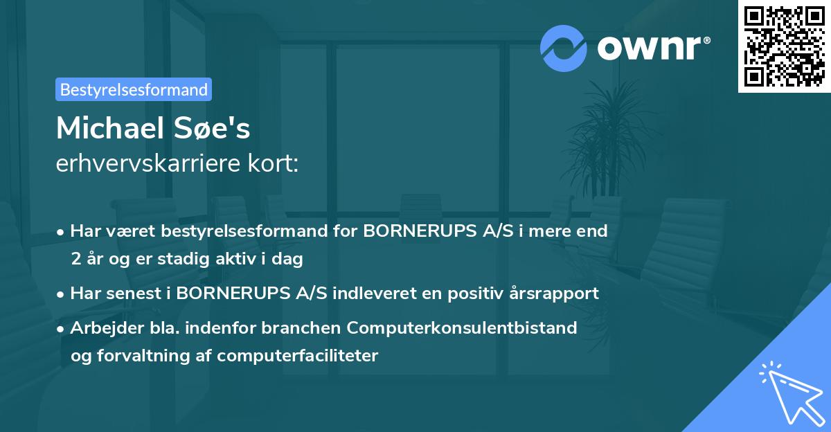 Michael Søe's erhvervskarriere kort