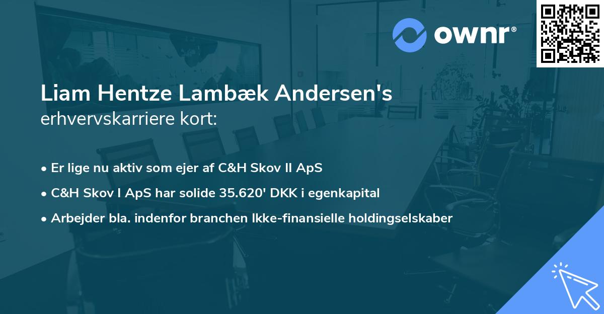 Liam Hentze Lambæk Andersen's erhvervskarriere kort