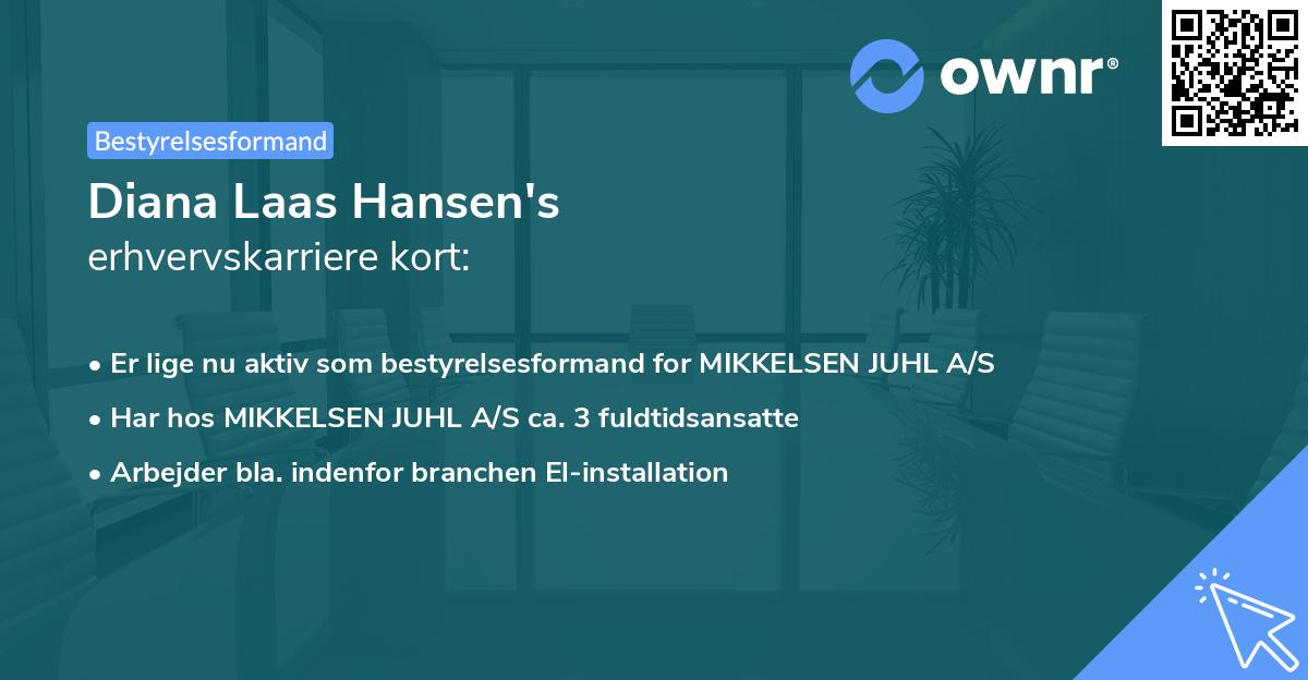 Diana Laas Hansen's erhvervskarriere kort