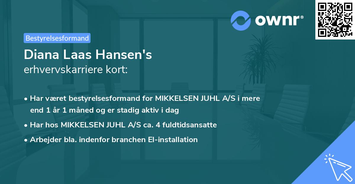 Diana Laas Hansen's erhvervskarriere kort