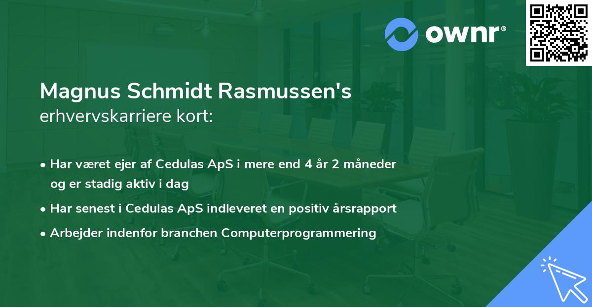 Magnus Schmidt Rasmussen's erhvervskarriere kort