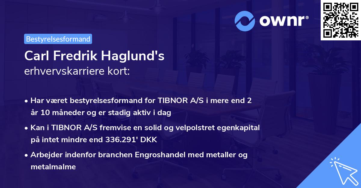 Carl Fredrik Haglund's erhvervskarriere kort