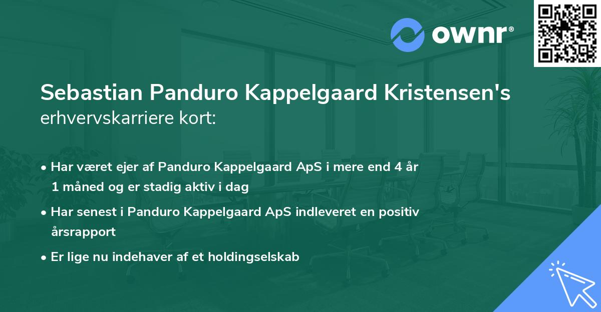 Sebastian Panduro Kappelgaard Kristensen's erhvervskarriere kort