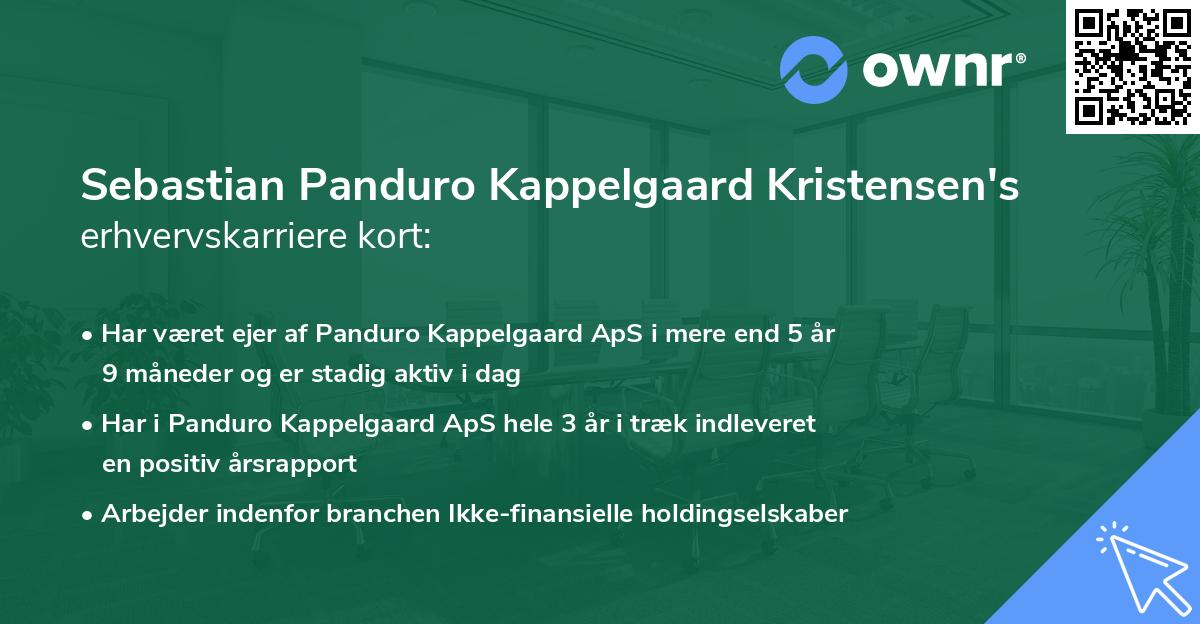 Sebastian Panduro Kappelgaard Kristensen's erhvervskarriere kort